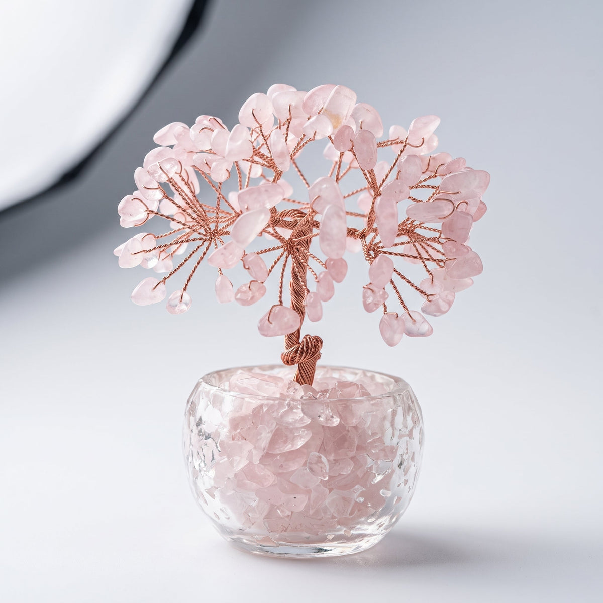 Featured Products