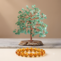 Collector Wealth Set | $199 Bundle